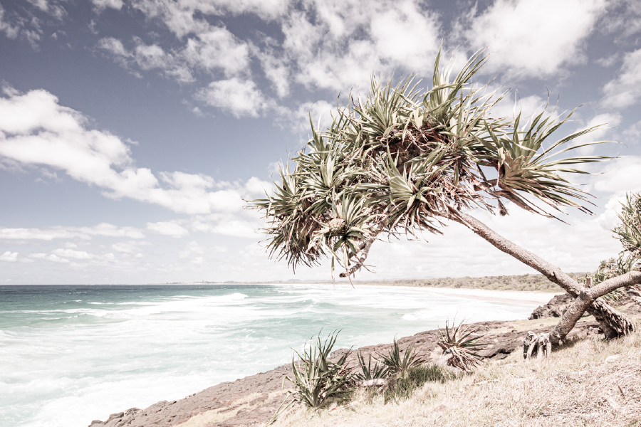 Fingal Head Dreamtime Beach View Print 100% Australian Made