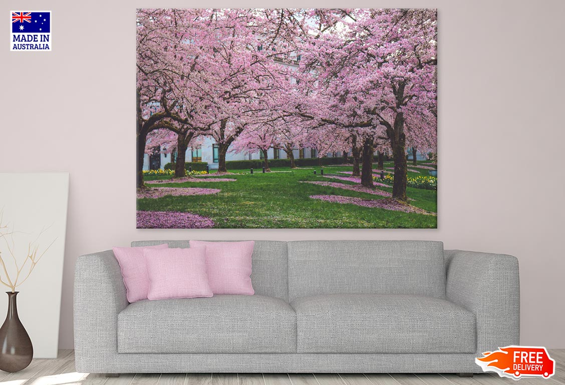 Blossom Tree Park Photograph Print 100% Australian Made