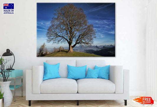 Huge Tree on Mountain Photograph Print 100% Australian Made