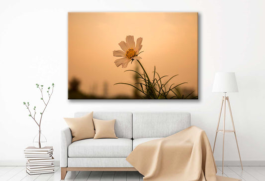 Bella Home Closeup View of Daisy Flower Print Canvas Ready to hang
