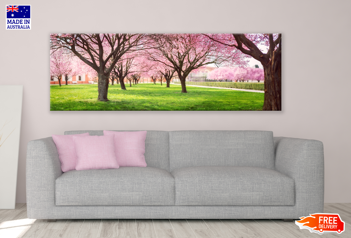 Panoramic Canvas Cherry Blossom Trees High Quality 100% Australian made wall Canvas Print ready to hang