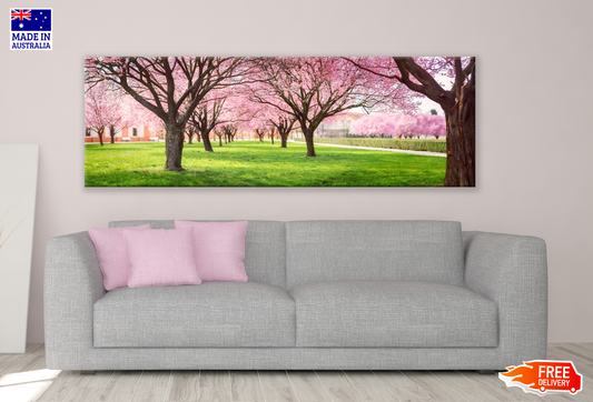 Panoramic Canvas Cherry Blossom Trees High Quality 100% Australian made wall Canvas Print ready to hang