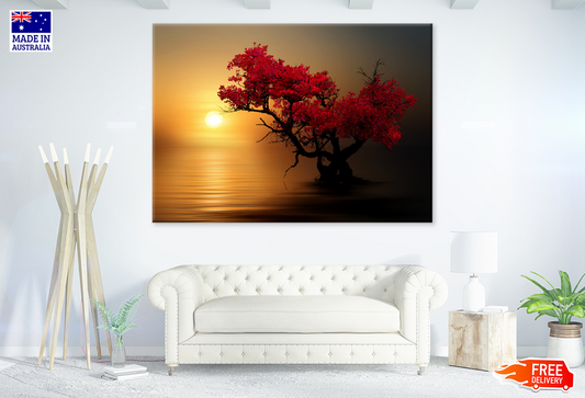 Red Leaves In Trees & Sunset Photograph Print 100% Australian Made