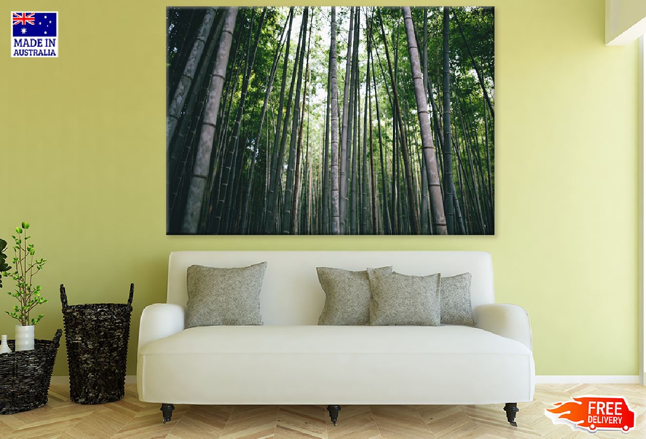 Bamboo Tree Forest Photograph Print 100% Australian Made