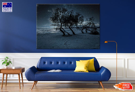 Trees on the Beach at Night View Photograph Print 100% Australian Made