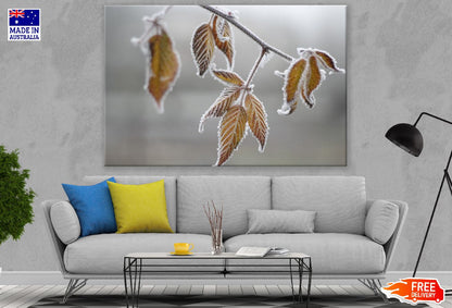 Cold Leaf Frost Photograph Print 100% Australian Made