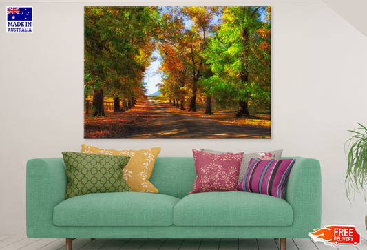 Autumn Trees & Road Photograph Print 100% Australian Made