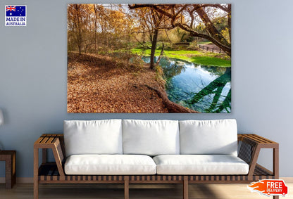 Autumn Forest With Lake Photograph Print 100% Australian Made