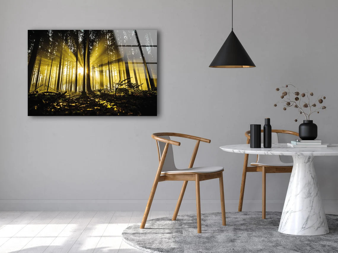 Dark Forest with Yellow Sunrays Photograph Acrylic Glass Print Tempered Glass Wall Art 100% Made in Australia Ready to Hang