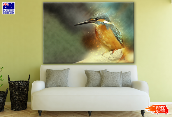Kingfisher Bird on A Branch Photograph Print 100% Australian Made