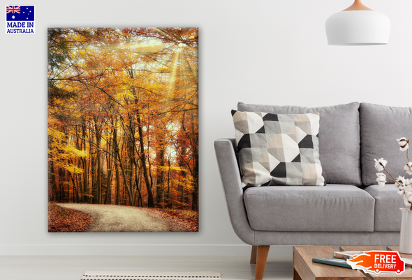 Stunning Road View with Autumn Forest Photograph Print 100% Australian Made