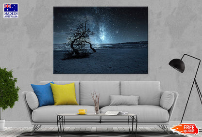 Dead Trees on Sea Shore Night Photograph Print 100% Australian Made