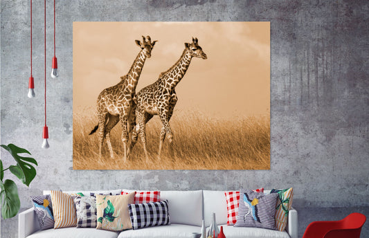 Giraffe animal Stunning Print 100% Australian Made