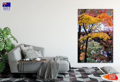 Yellow Autumn Leaves Branch View Photograph Print 100% Australian Made