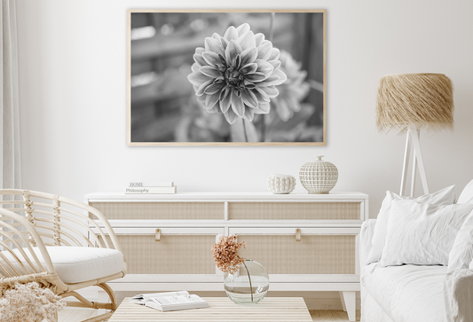 Dahlia Flower B&W Photograph Home Decor Premium Quality Poster Print Choose Your Sizes