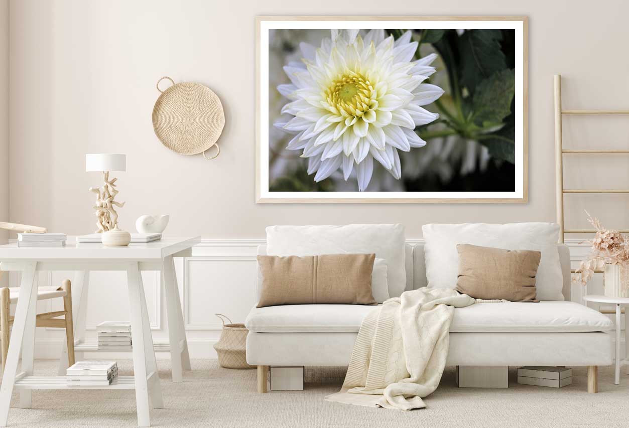 White Dahlia Flower View Photograph Home Decor Premium Quality Poster Print Choose Your Sizes