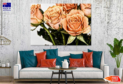 Orange Roses View Photograph Print 100% Australian Made