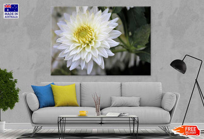 White Dahlia Flower View Photograph Print 100% Australian Made