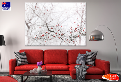 Winter Berries Closeup Photograph View Print 100% Australian Made