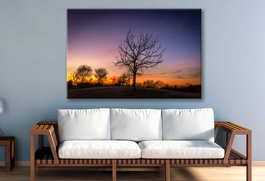 Bella Home Autumn Tree & Sunset View Texas Print Canvas Ready to hang