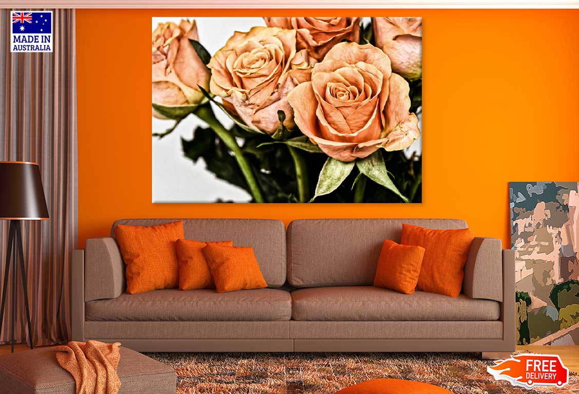 Orange Roses View Photograph Print 100% Australian Made