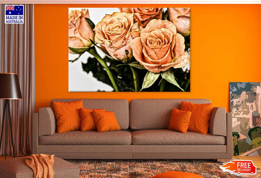 Orange Roses View Photograph Print 100% Australian Made