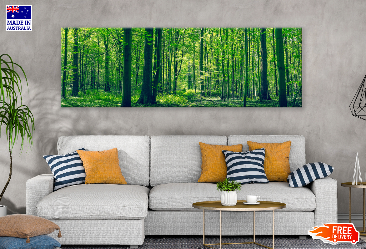 Panoramic Canvas Green Forest High Quality 100% Australian made wall Canvas Print ready to hang