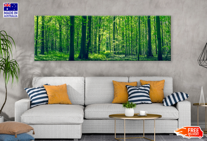 Panoramic Canvas Green Forest High Quality 100% Australian made wall Canvas Print ready to hang