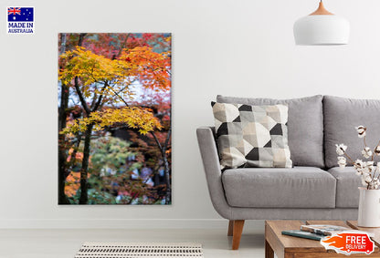 Yellow Autumn Leaves Branch View Photograph Print 100% Australian Made