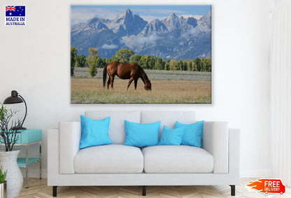 Horse in a Mountain Field Photograph Print 100% Australian Made