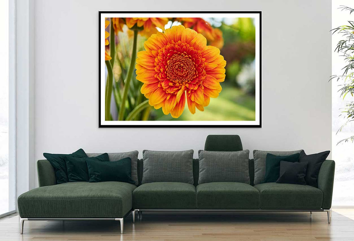 Orange Gerbera Flower Photograph Home Decor Premium Quality Poster Print Choose Your Sizes