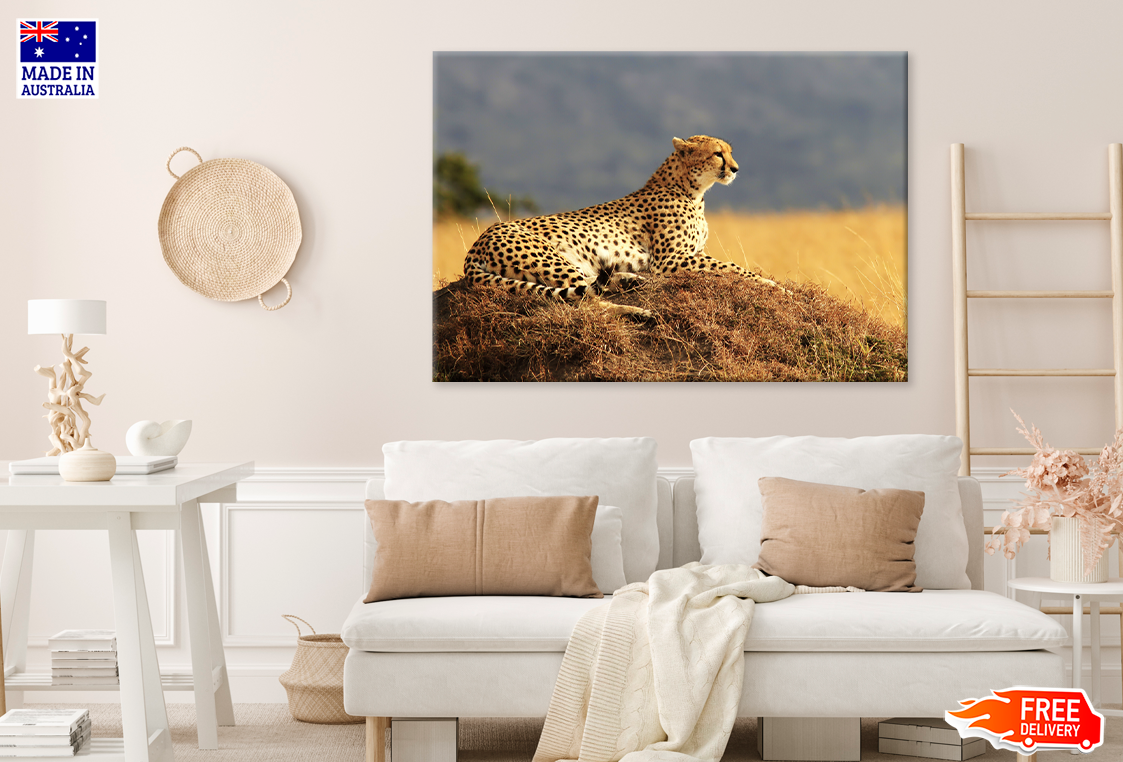 Lepard & Forest View Photograph Print 100% Australian Made