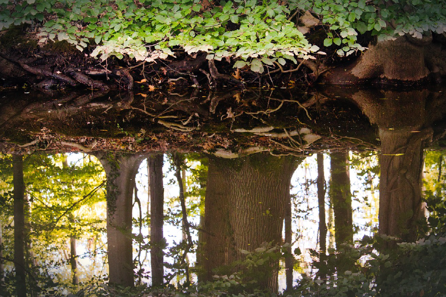 Trees Reflection on Water Hole Photograph Print 100% Australian Made