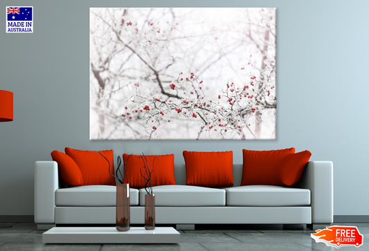 Winter Berries Closeup Photograph View Print 100% Australian Made