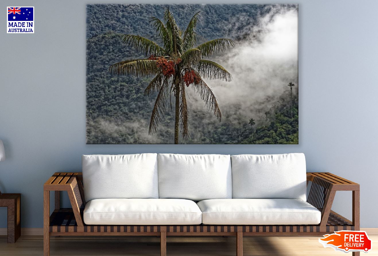 Wax Palm Tree Photograph Print 100% Australian Made