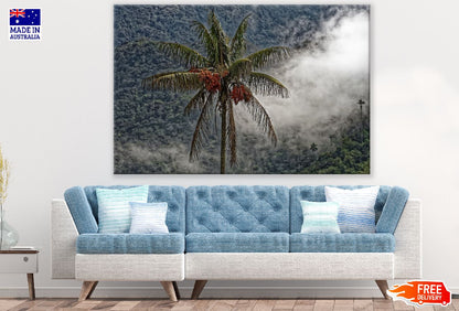 Wax Palm Tree Photograph Print 100% Australian Made