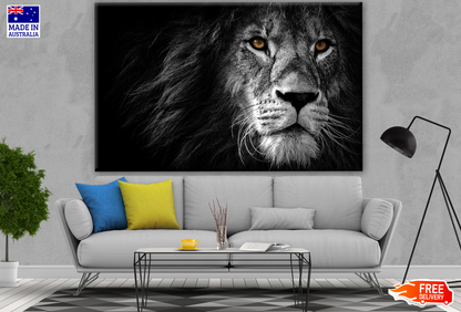 B&W Lion Portrait with Orange Eyes Photograph Print 100% Australian Made