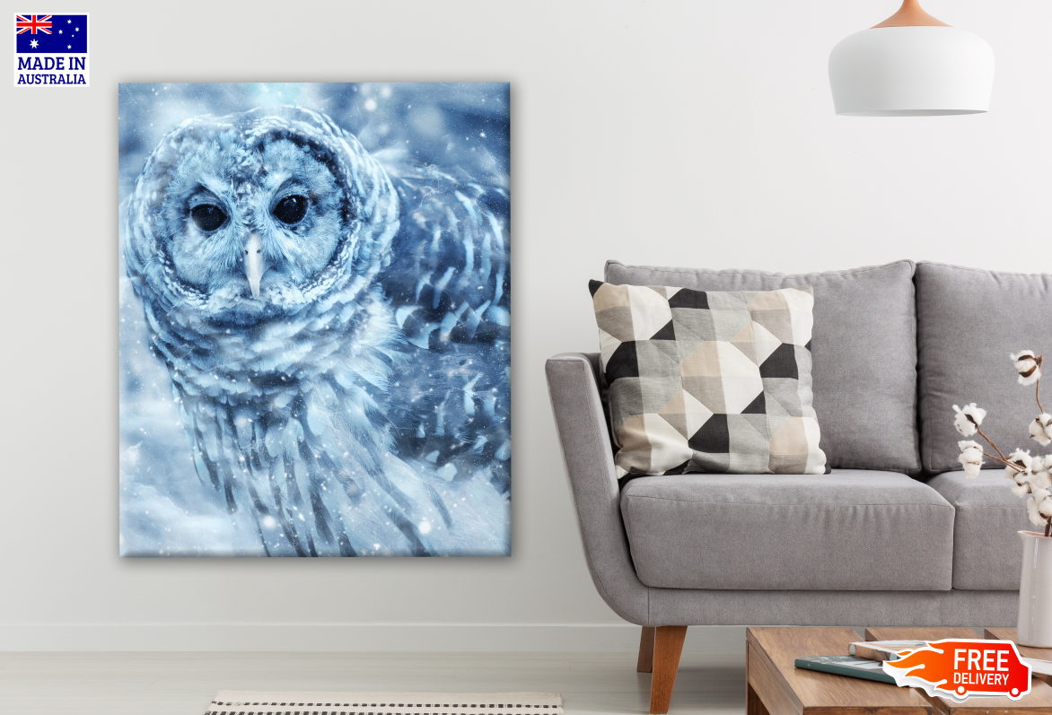 Owl Portrait in Snow Photograph Print 100% Australian Made