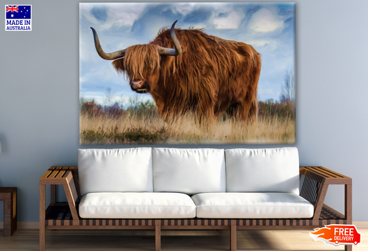 Highland Cow on a Grass Field Photograph Print 100% Australian Made