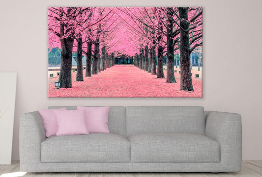 Cherry Blossom Road Photograph Print 100% Australian Made