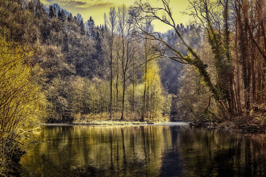 Forest & Lake Scenery Photograph Print 100% Australian Made