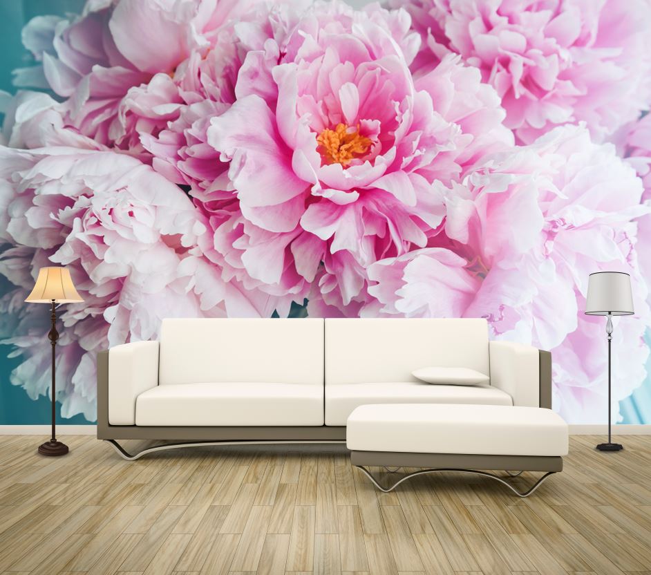 Wallpaper Murals Peel and Stick Removable Pink Floral Closeup High Quality