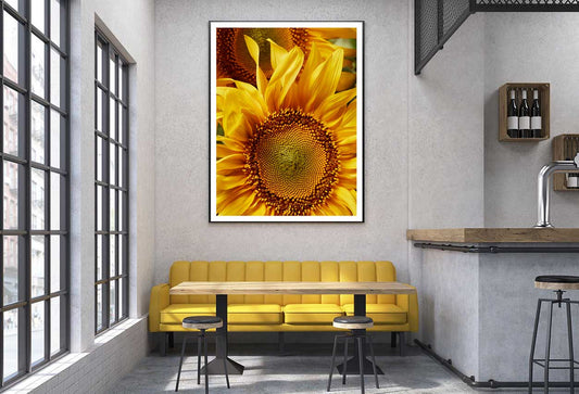 Sunflower Petals with Pollen View Photograph Home Decor Premium Quality Poster Print Choose Your Sizes