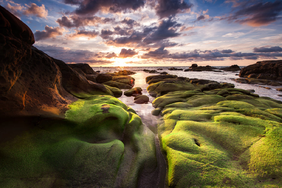 Bella Home Kudat Sabah Sea With Small Green Grass Print Canvas Ready to hang