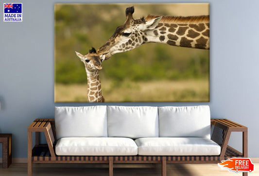 Giraffe & Baby Portrait Photograph Print 100% Australian Made