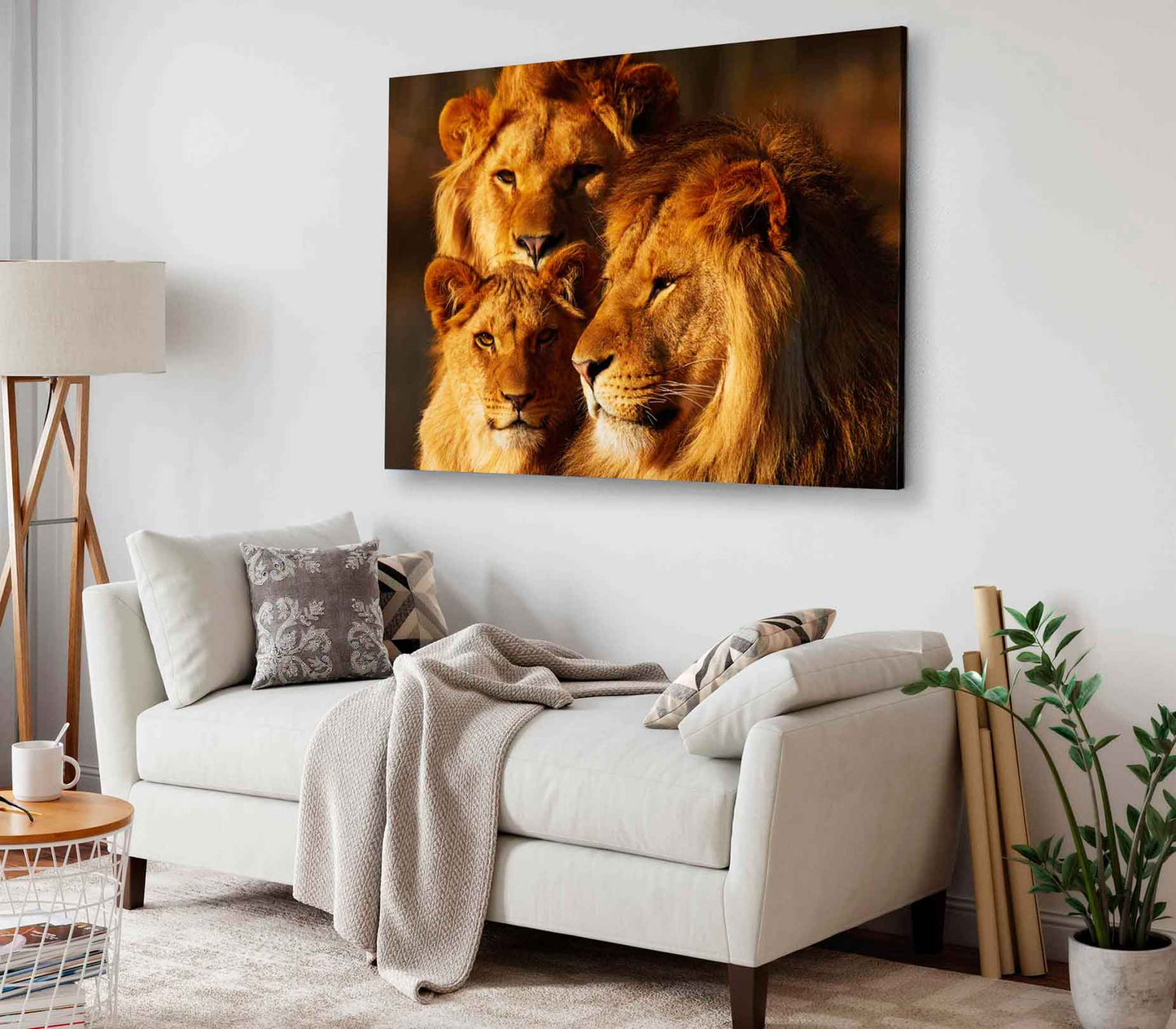 Bella Home Lion Family Closeup Photograph Print Canvas Ready to hang