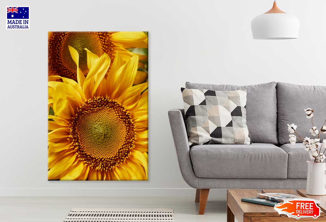 Sunflower Petals with Pollen View Photograph Print 100% Australian Made