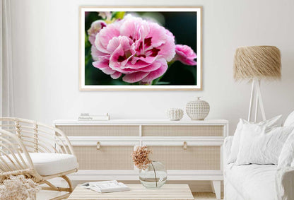 Pink Sweet William Closeup View Photograph Home Decor Premium Quality Poster Print Choose Your Sizes