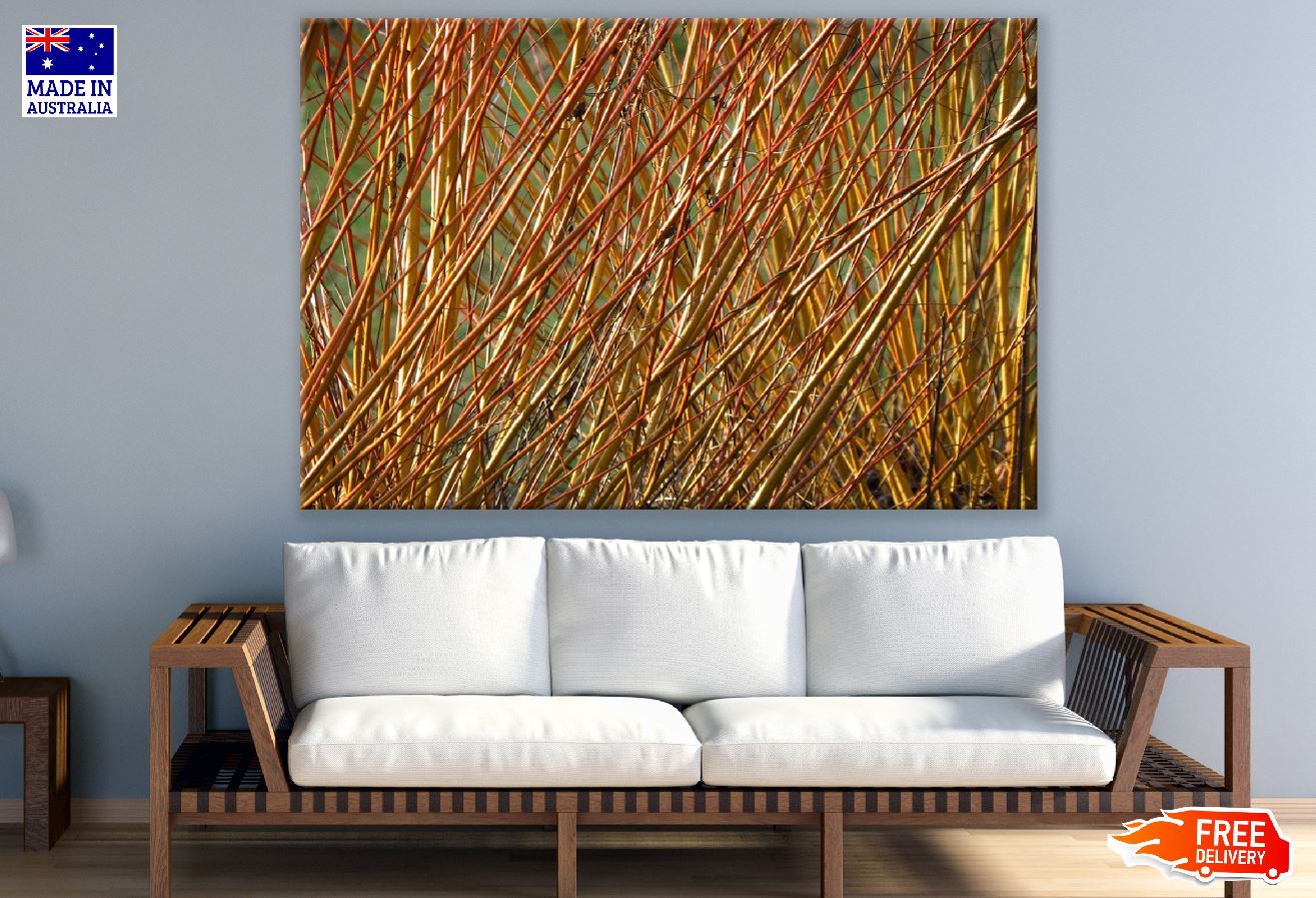 Yellow Branches Of A Willow Tree Photograph Print 100% Australian Made