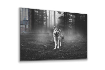 Wolf in Forest B&W Print Tempered Glass Wall Art 100% Made in Australia Ready to Hang